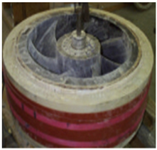 Applsci 12 03824 i005