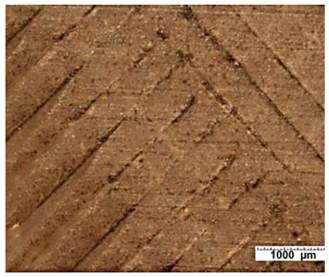 Applsci 12 03853 i001