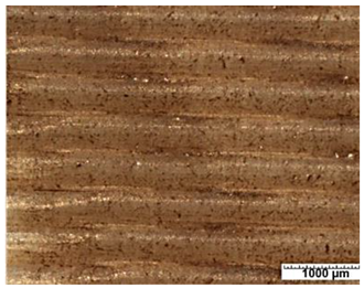 Applsci 12 03853 i003