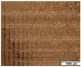 Applsci 12 03853 i006