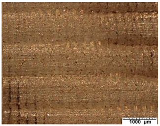 Applsci 12 03853 i008