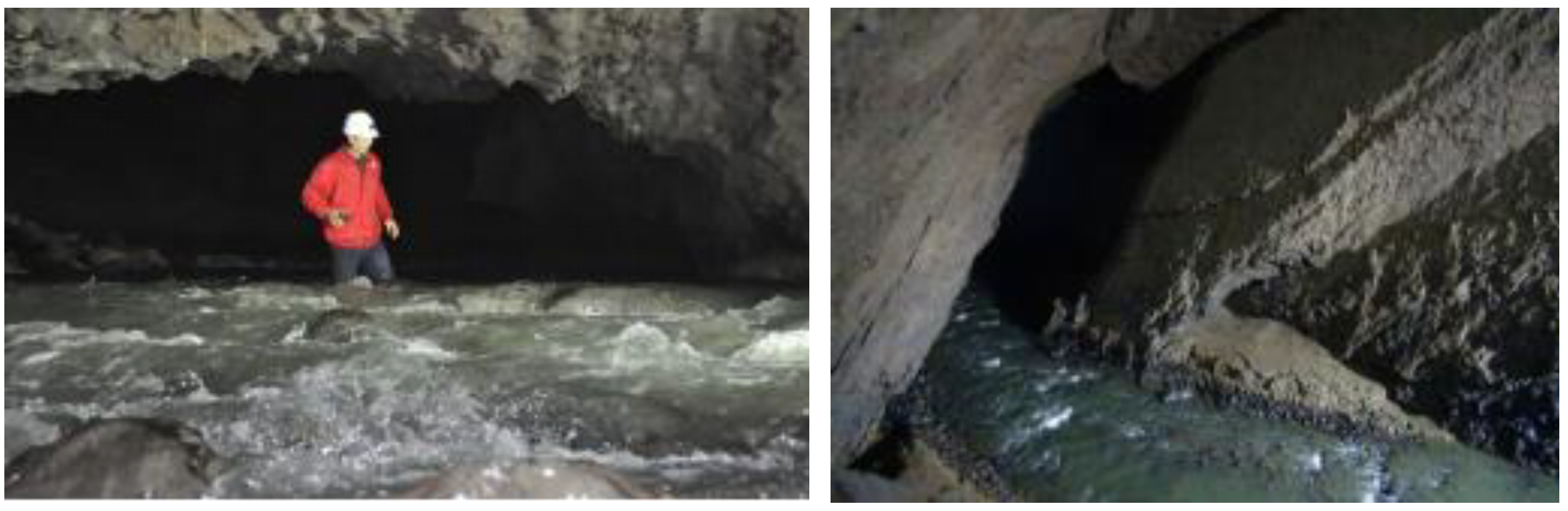 Applsci 12 03906 g003