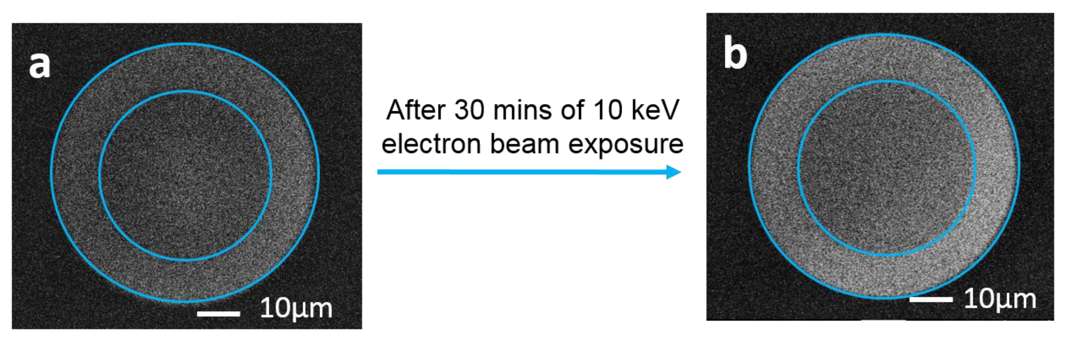 Applsci 12 03916 g003