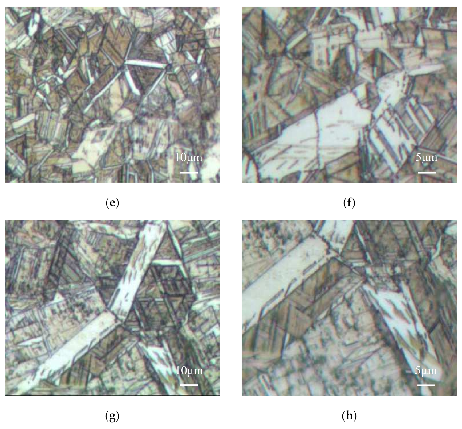 Applsci 12 03925 g006b