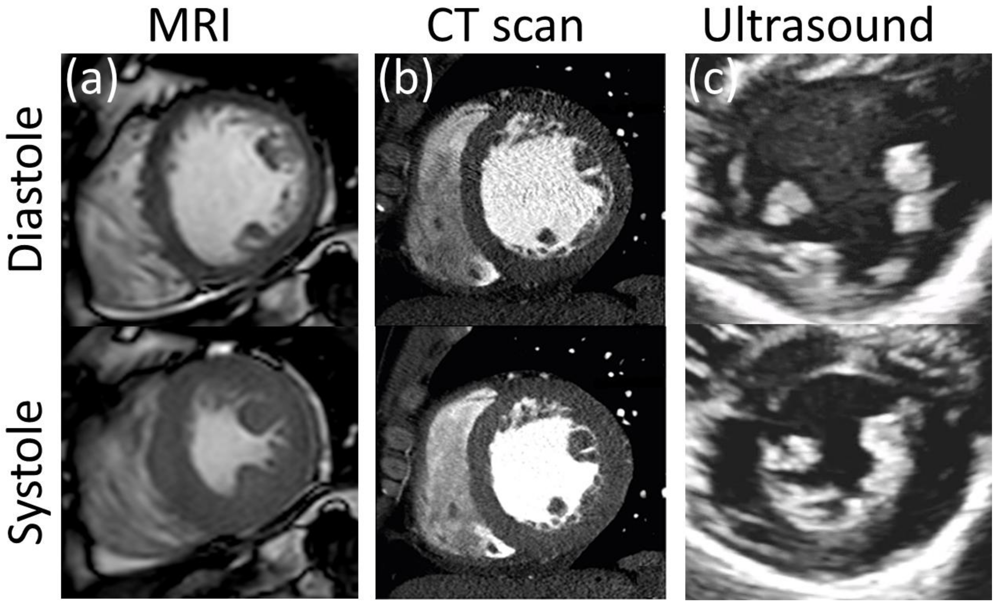 Applsci 12 03954 g007 Applsci 12 03954 g007