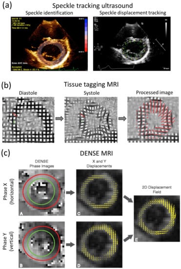 Applsci 12 03954 g008