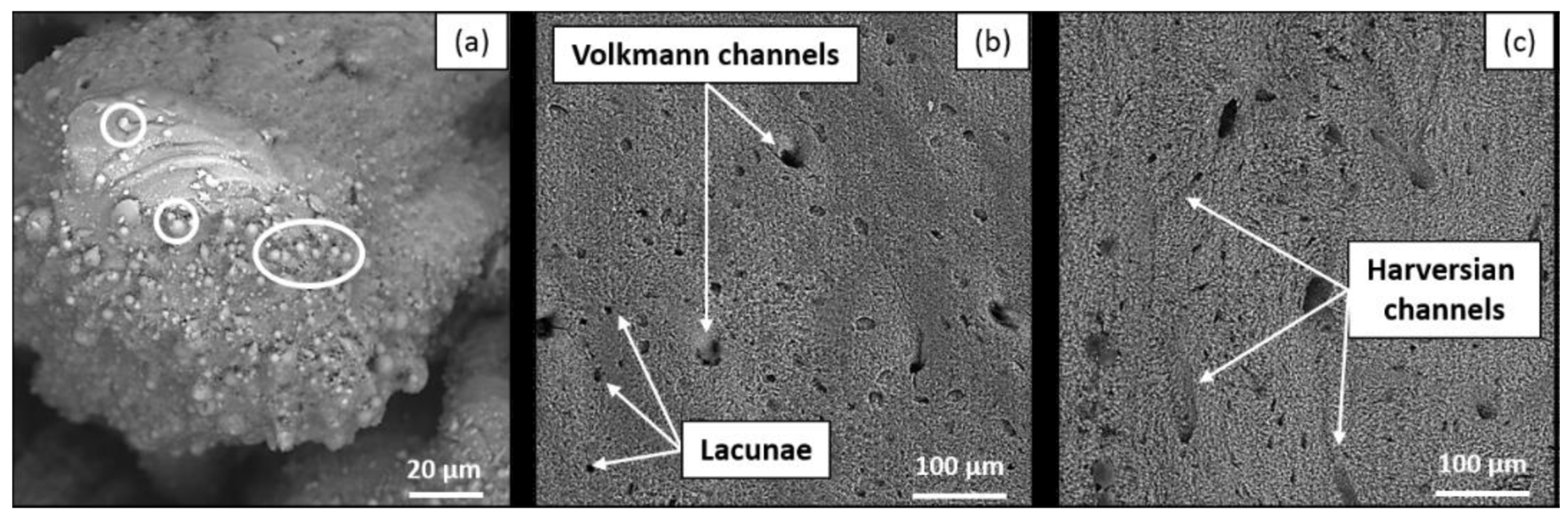 Applsci 12 03957 g001 Applsci 12 03957 g001