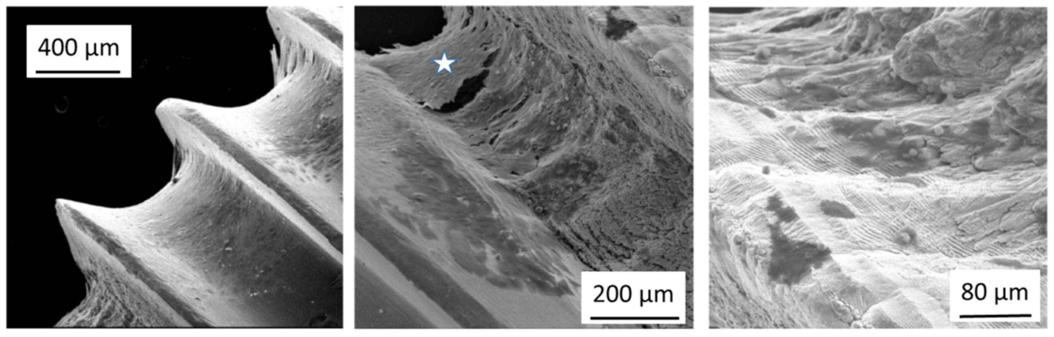 Applsci 12 03957 g003 Applsci 12 03957 g003