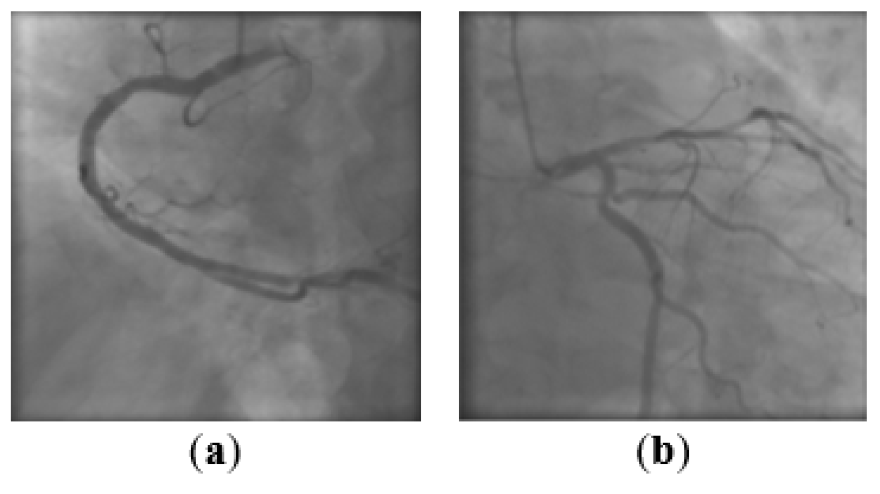 Applsci 12 03997 g007