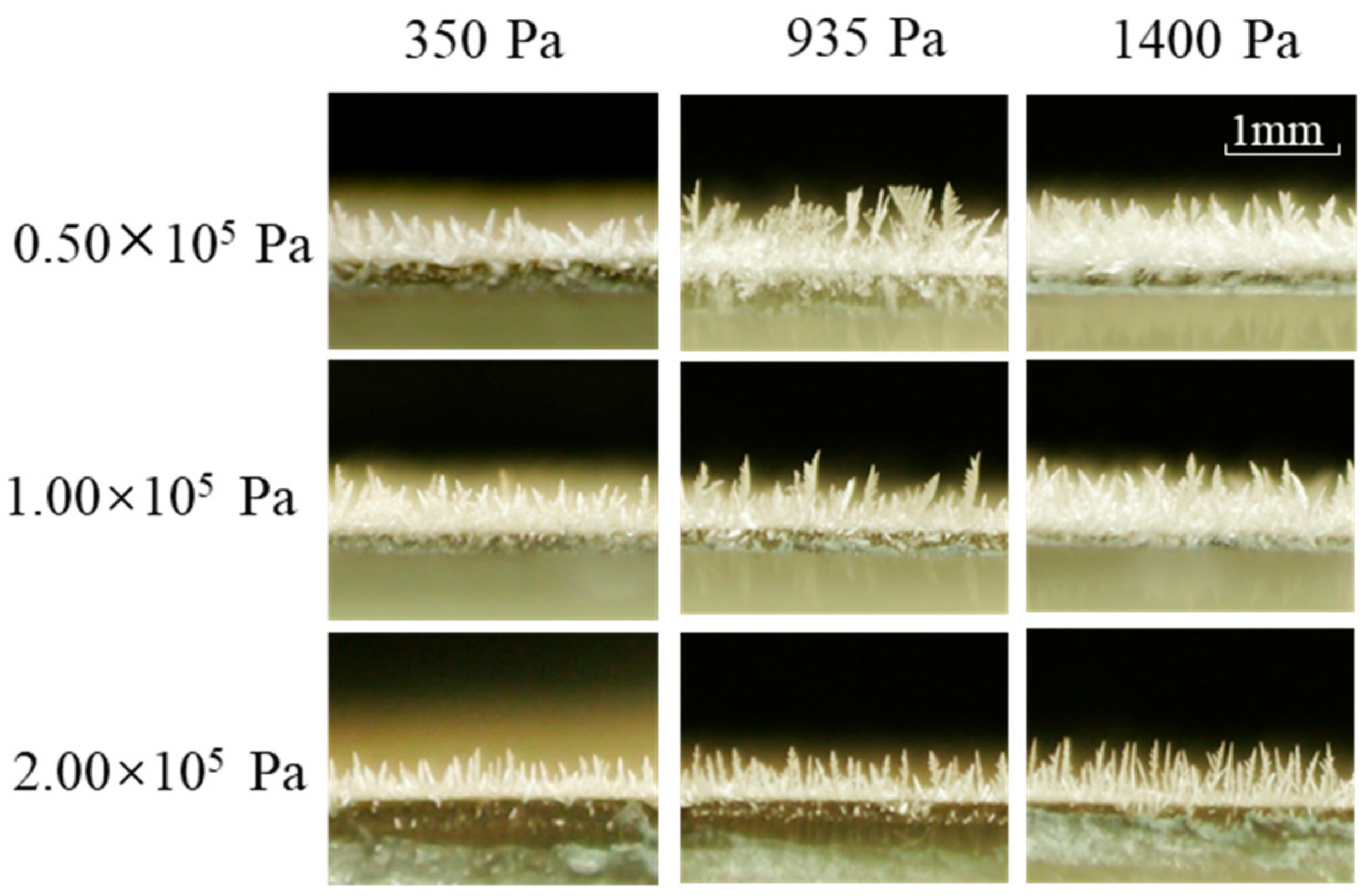 Applsci 12 04025 g008