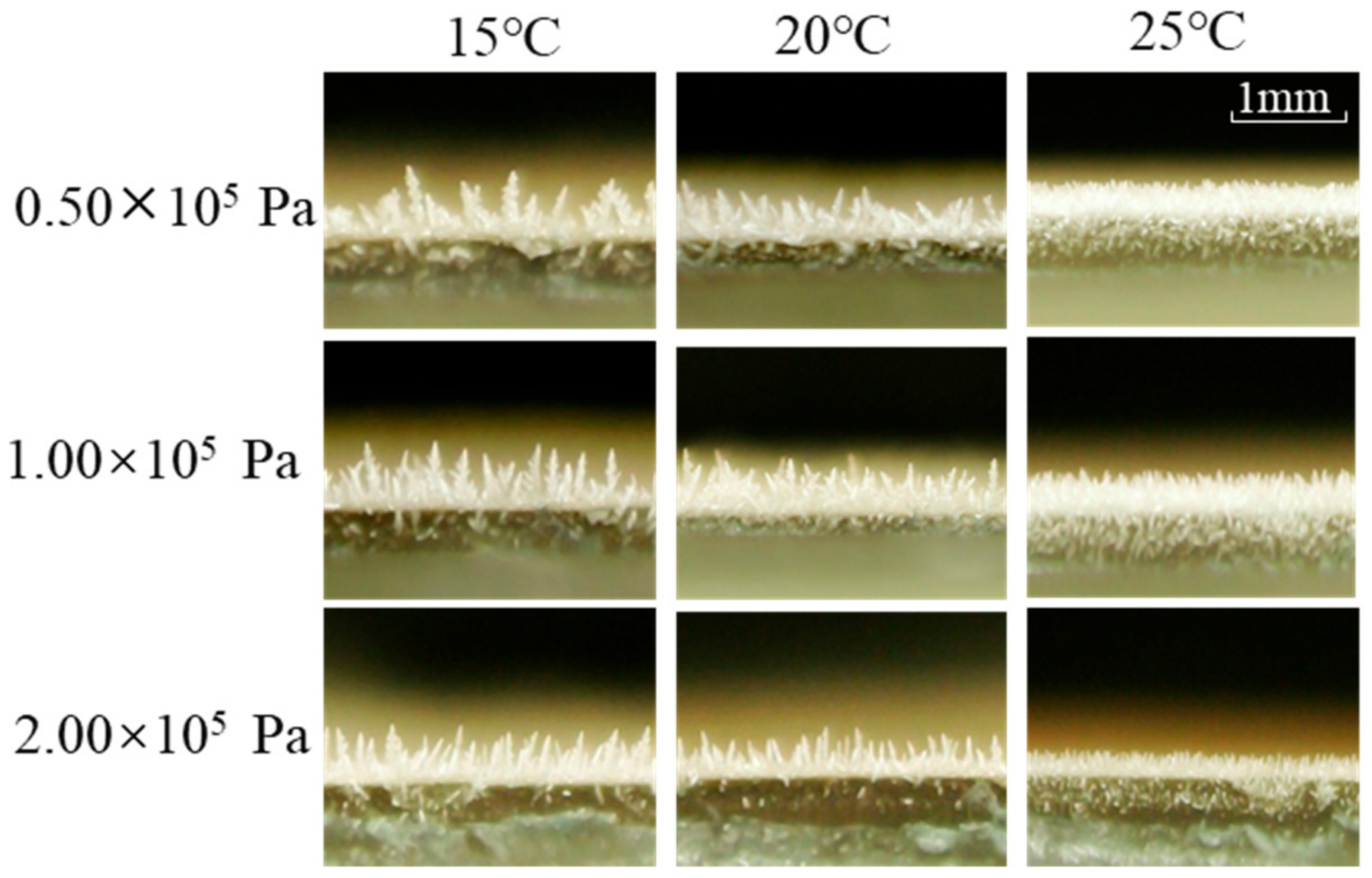 Applsci 12 04025 g010