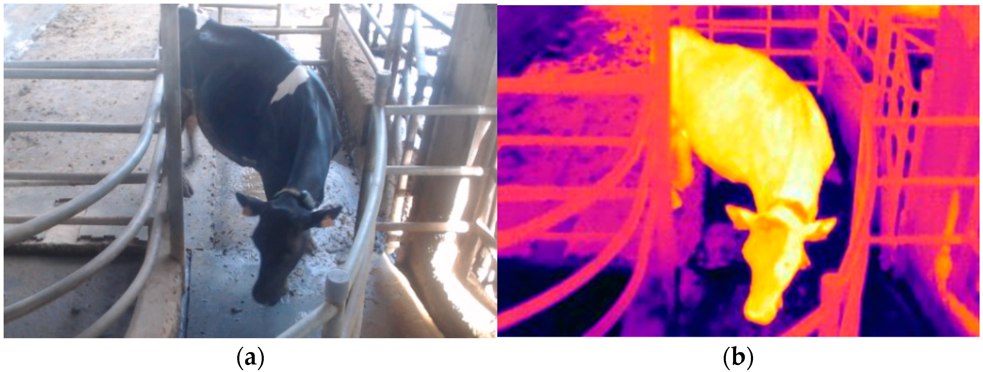 Applsci 12 04036 g001