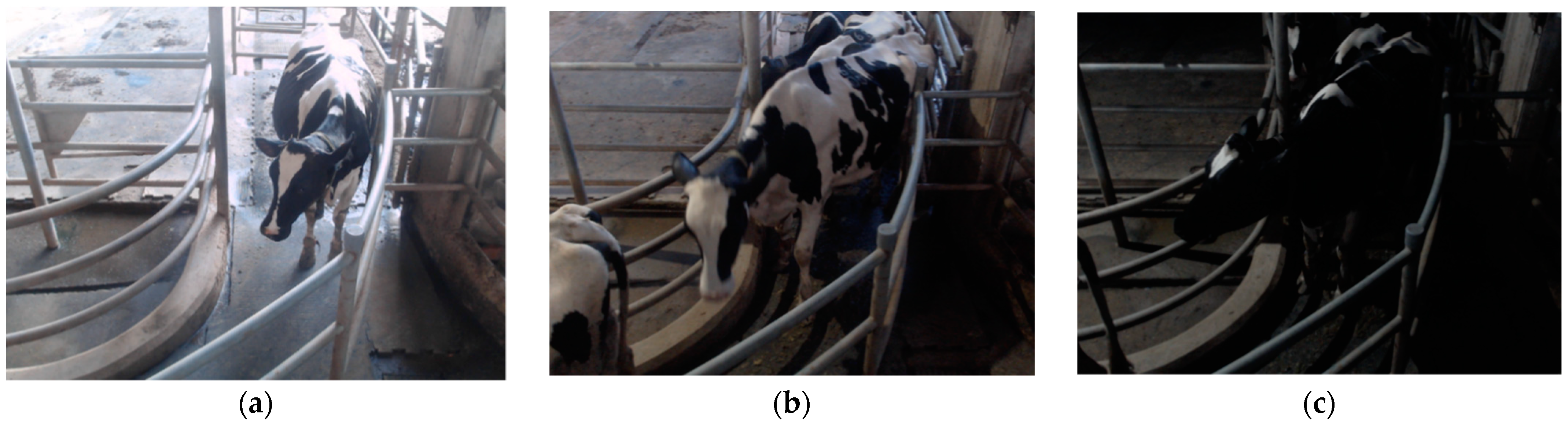 Applsci 12 04036 g007