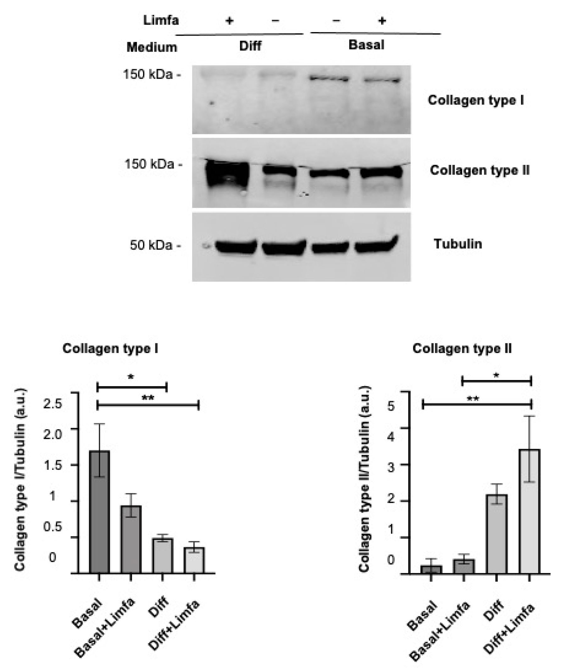 Applsci 12 04116 g003