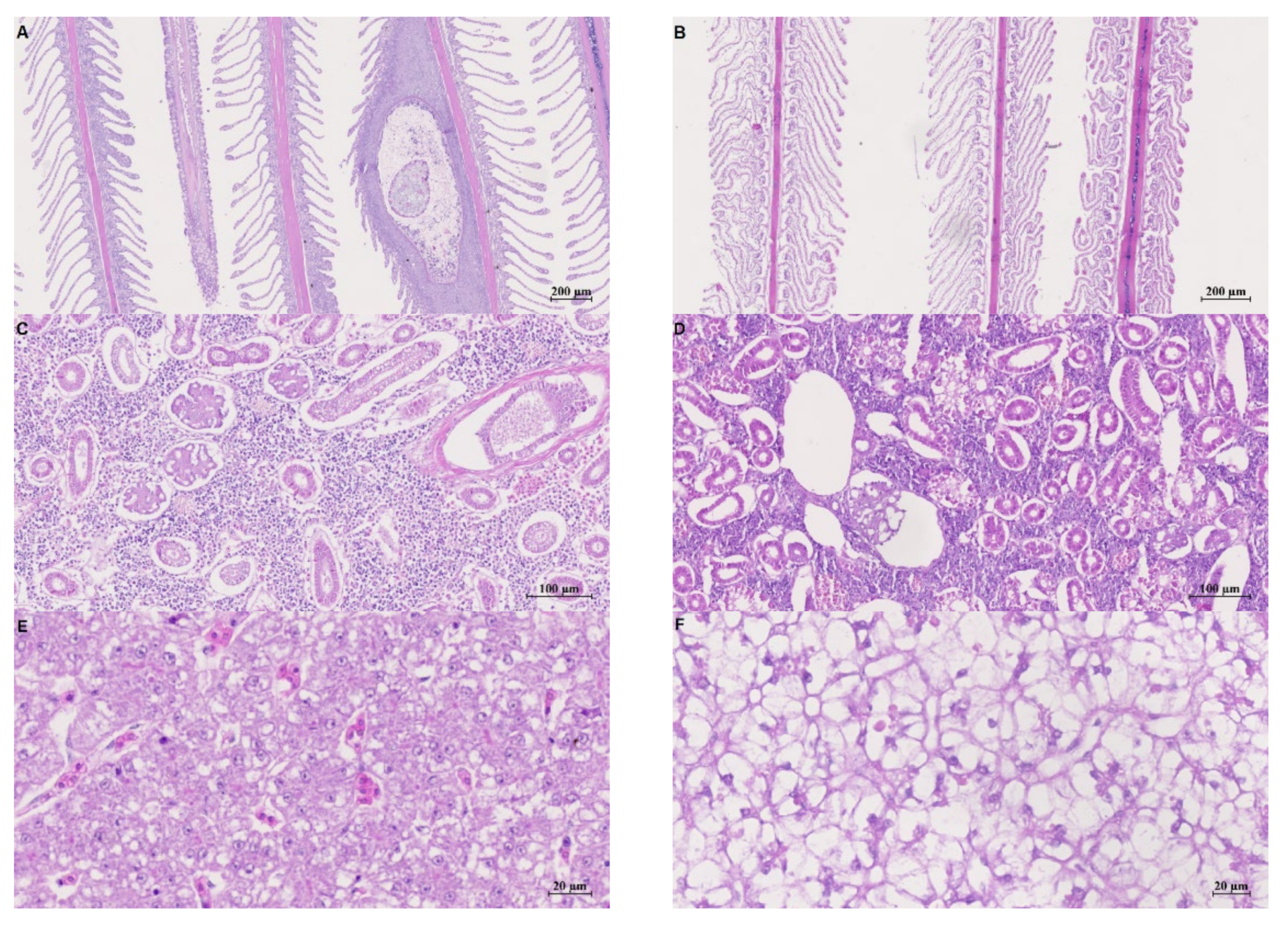 Applsci 12 04201 g003a