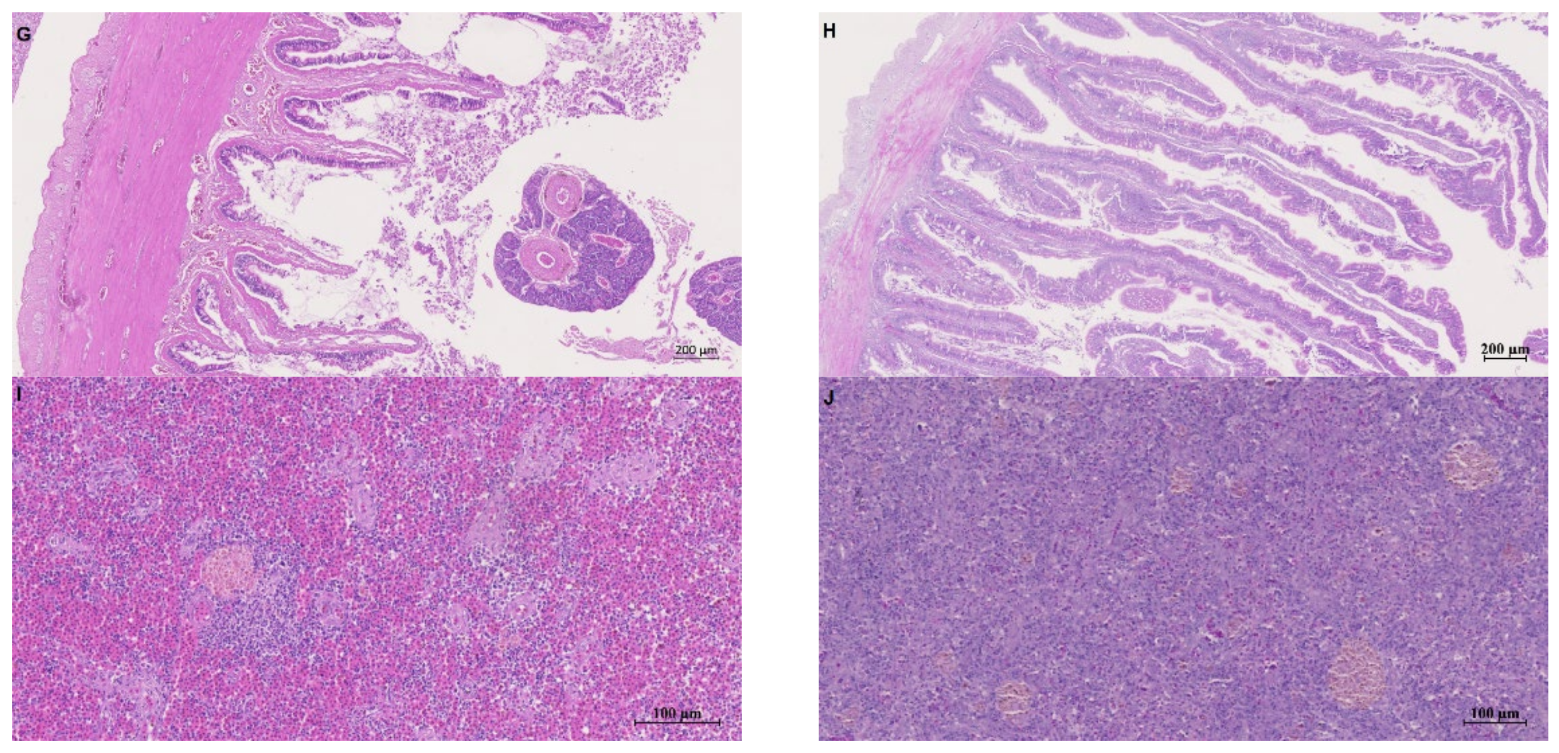 Applsci 12 04201 g003b