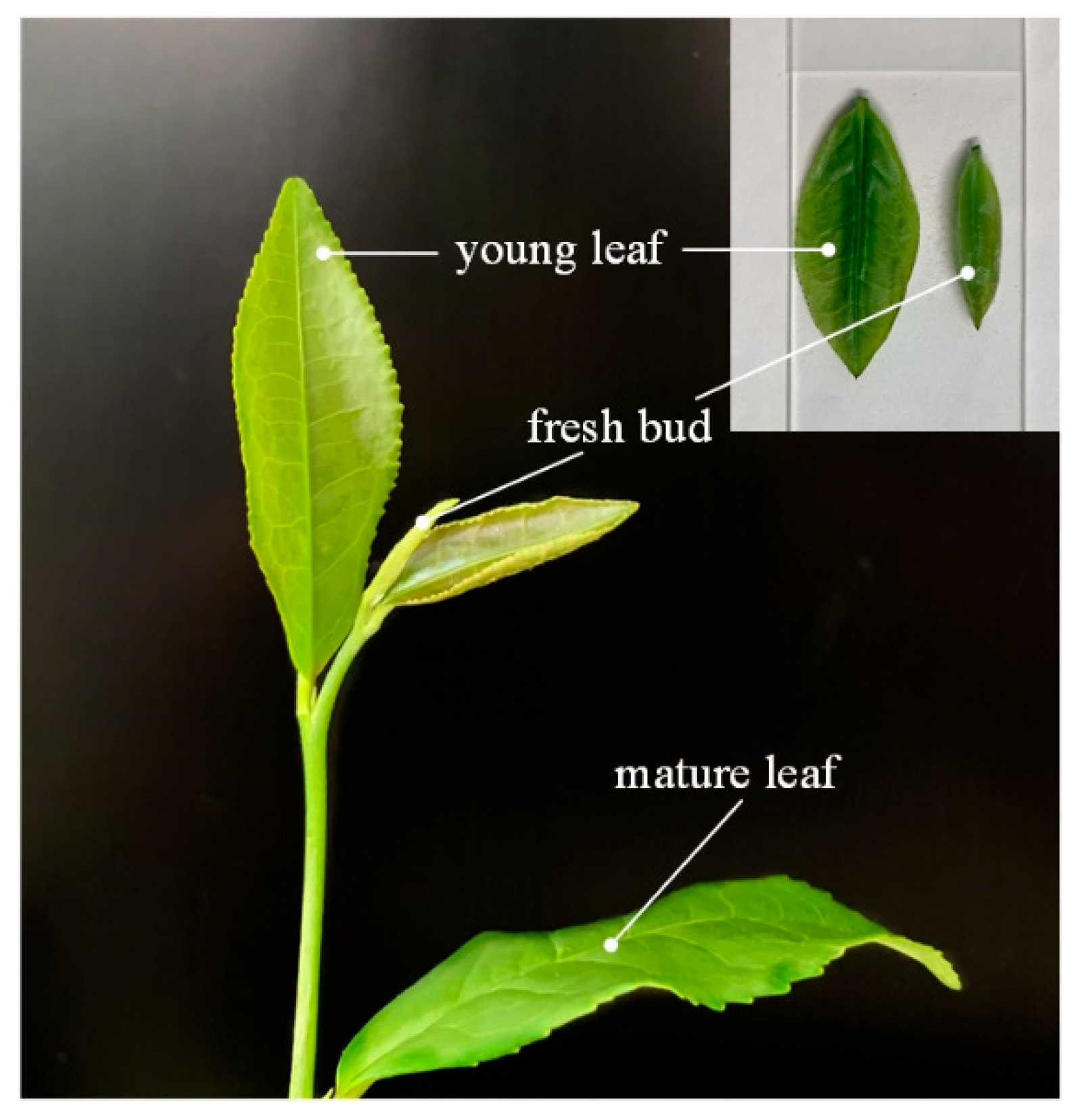 Applsci 12 04217 g001