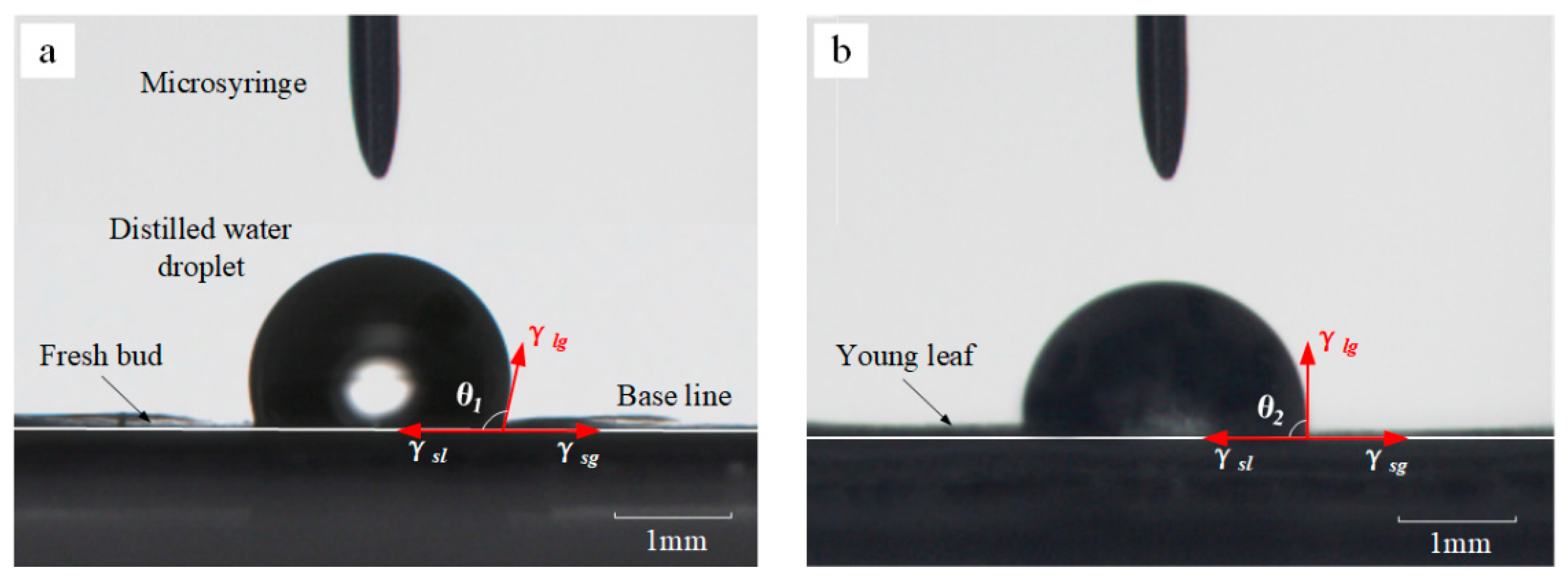 Applsci 12 04217 g004