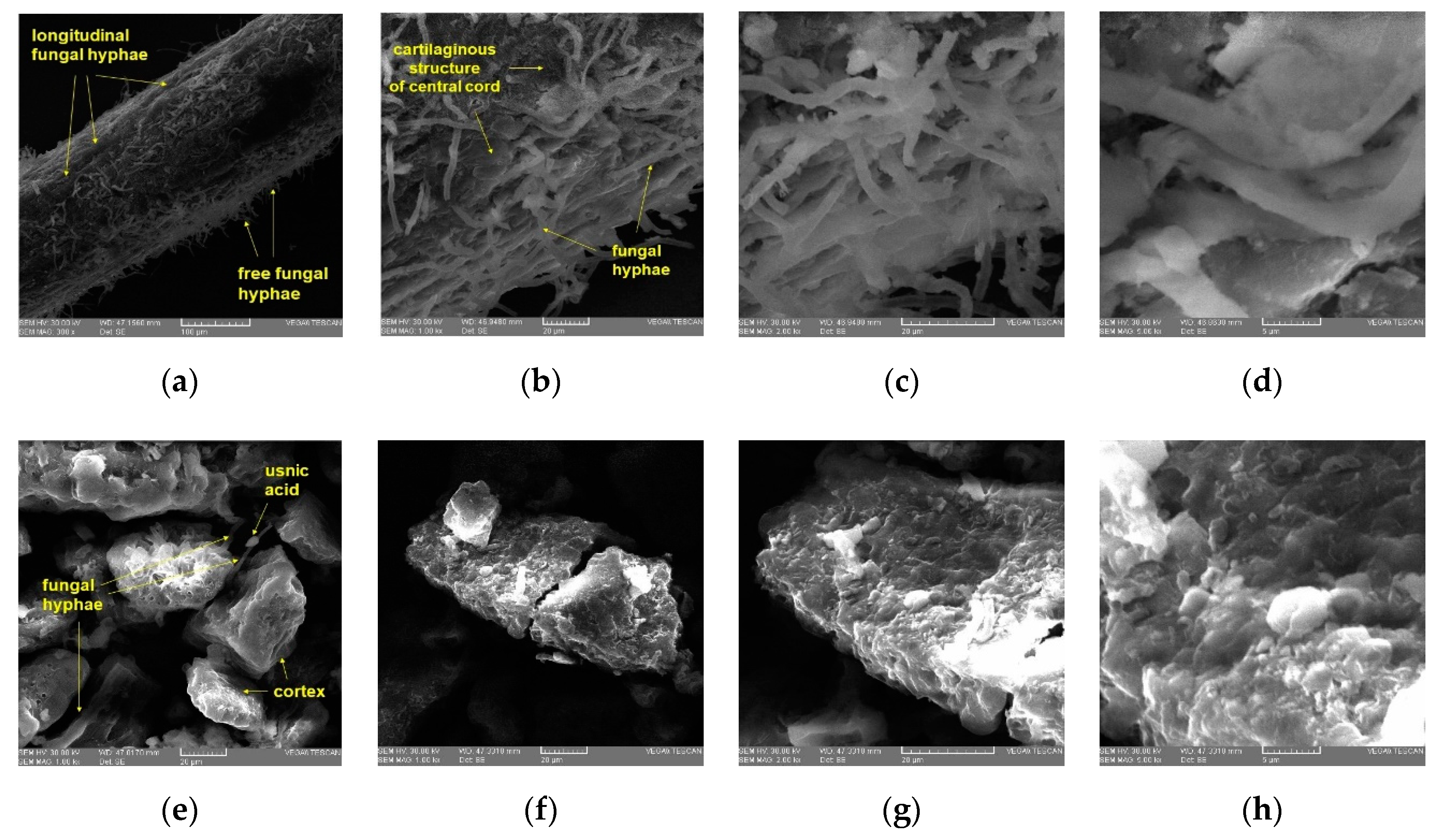 Applsci 12 04234 g003