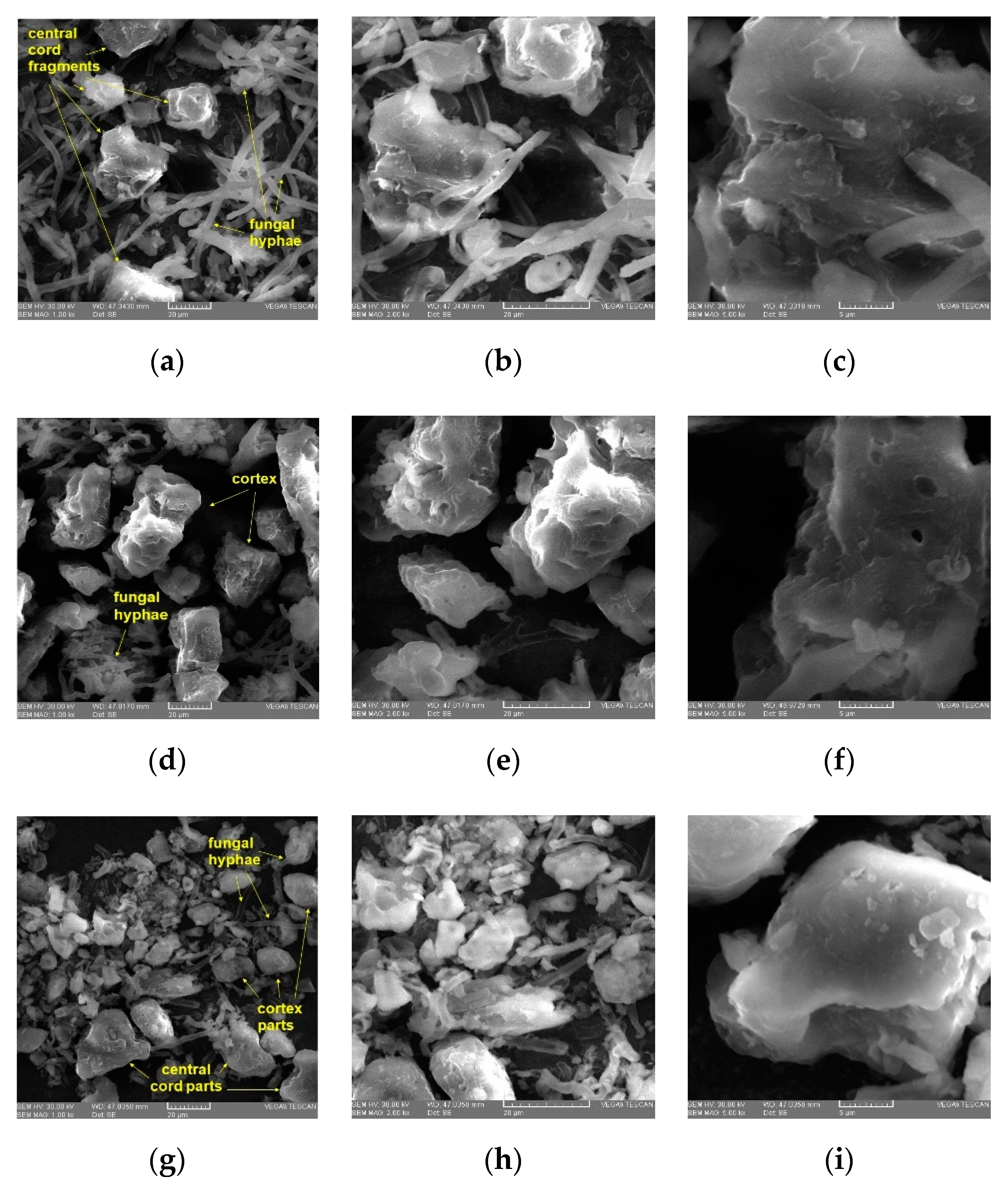 Applsci 12 04234 g005