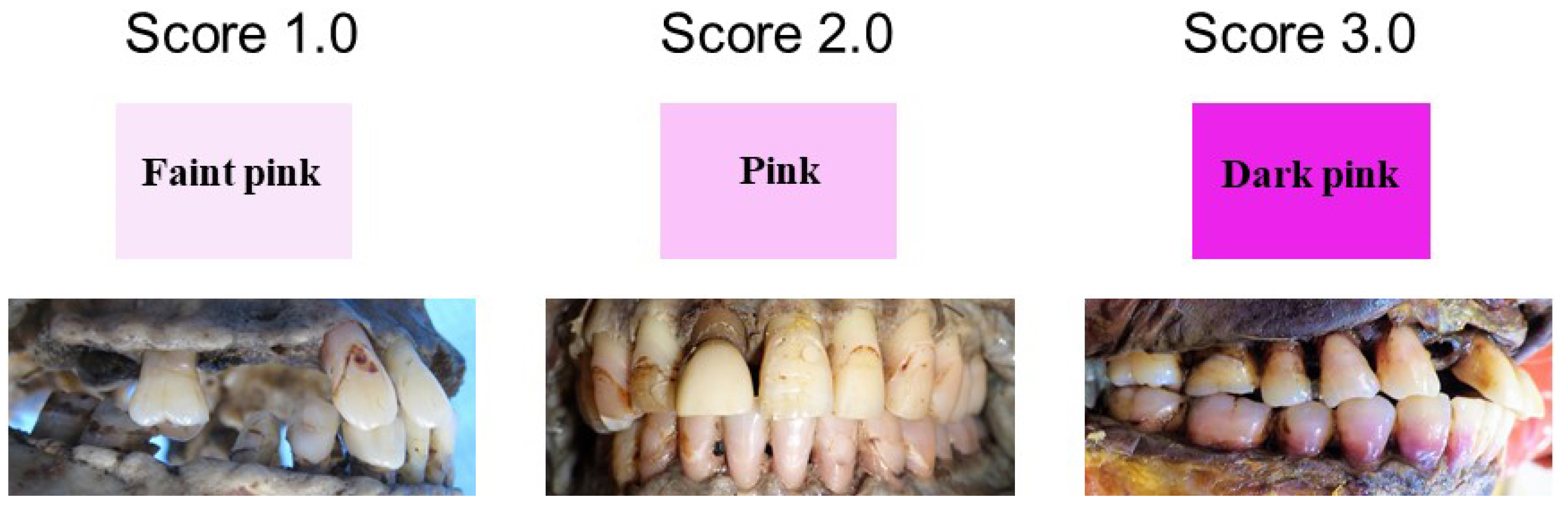 Applsci 12 04242 g001