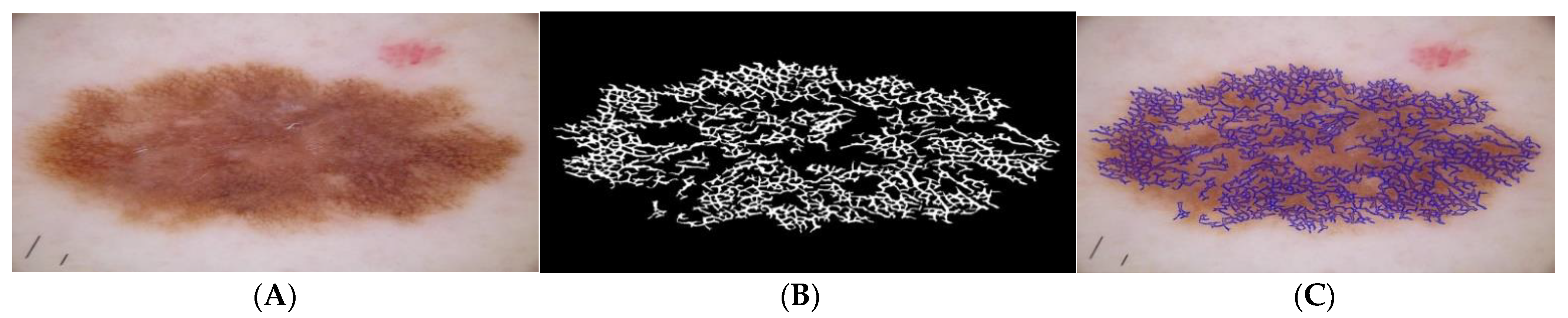 Applsci 12 04243 g007 Applsci 12 04243 g007