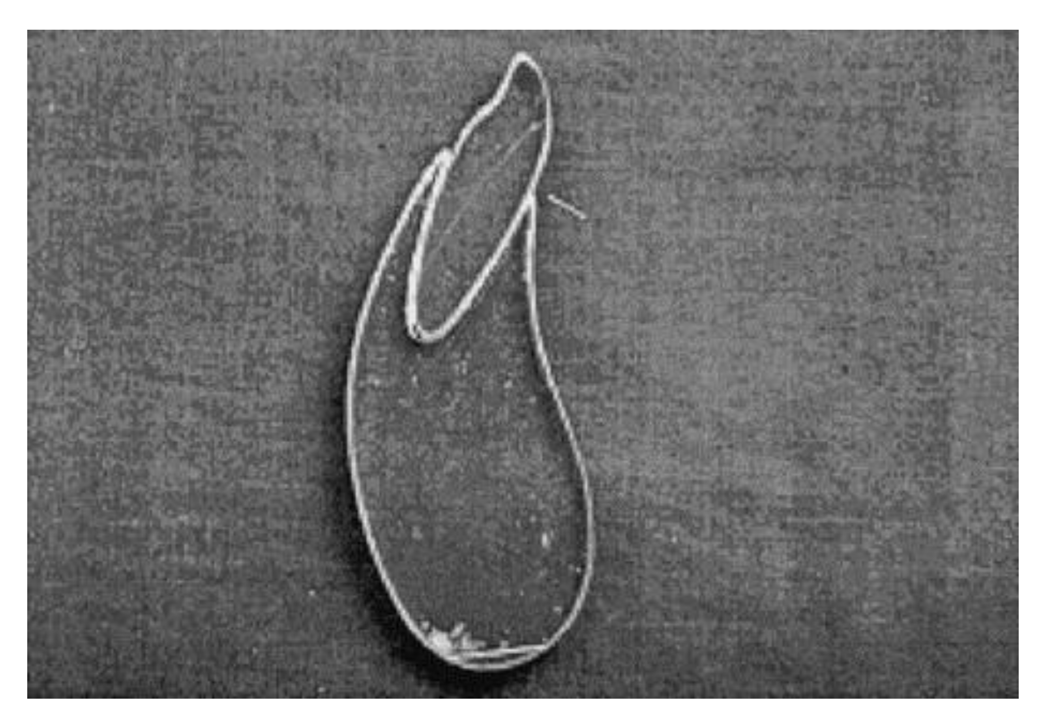 Applsci 12 04254 g005