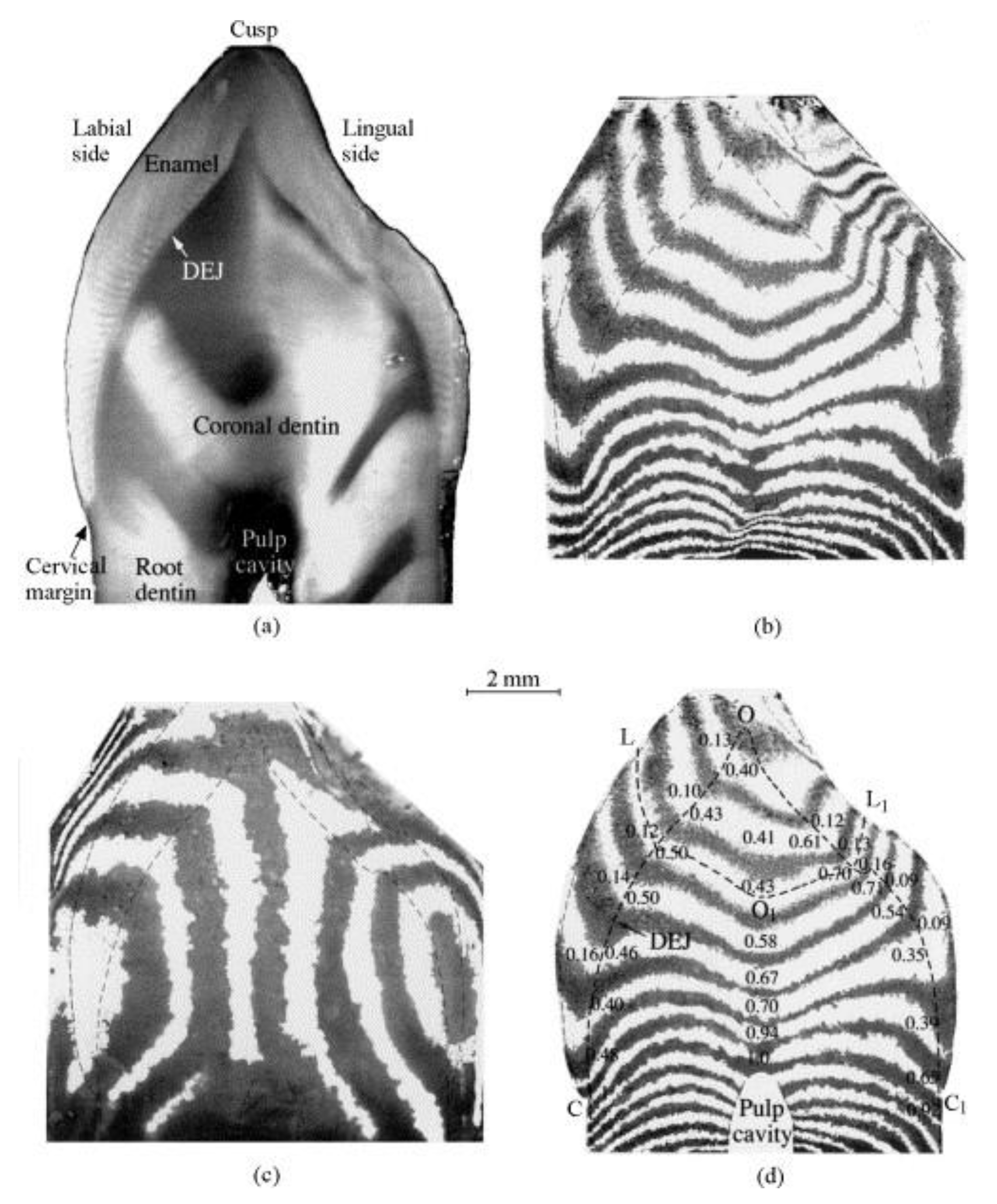 Applsci 12 04254 g010