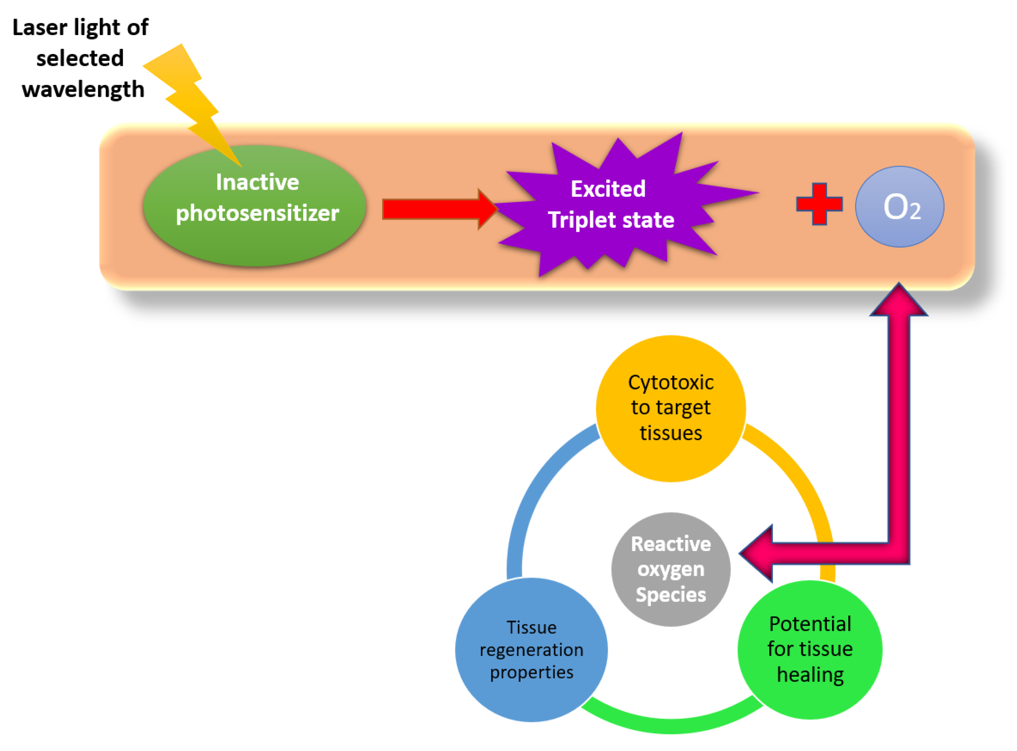 Applsci 12 04254 g013