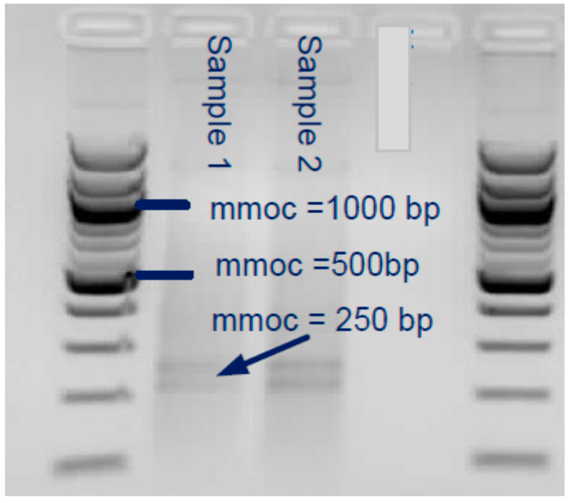 Applsci 12 04276 g004