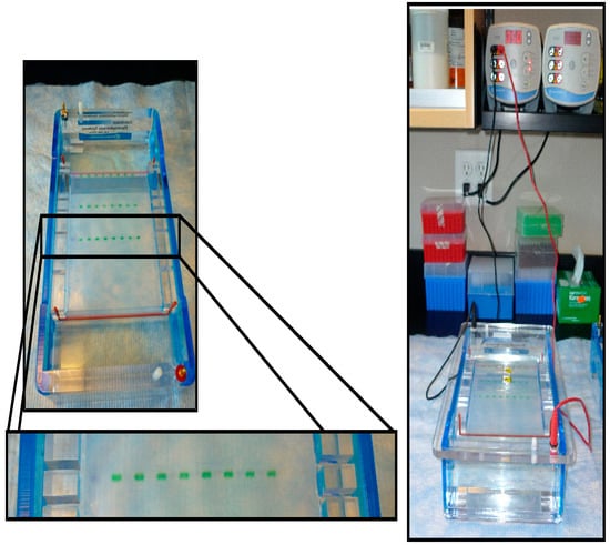 Applsci 12 04276 g0a1 550