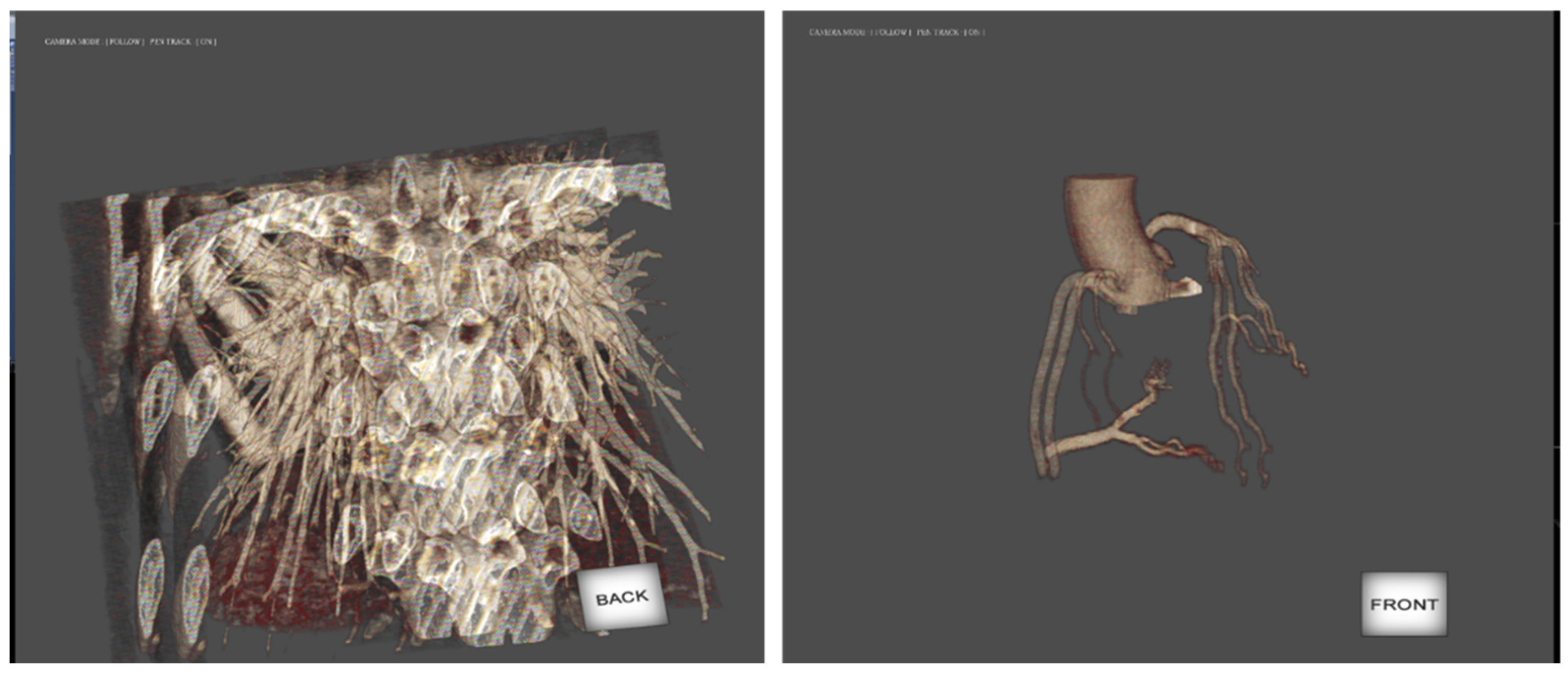 Applsci 12 04288 g013