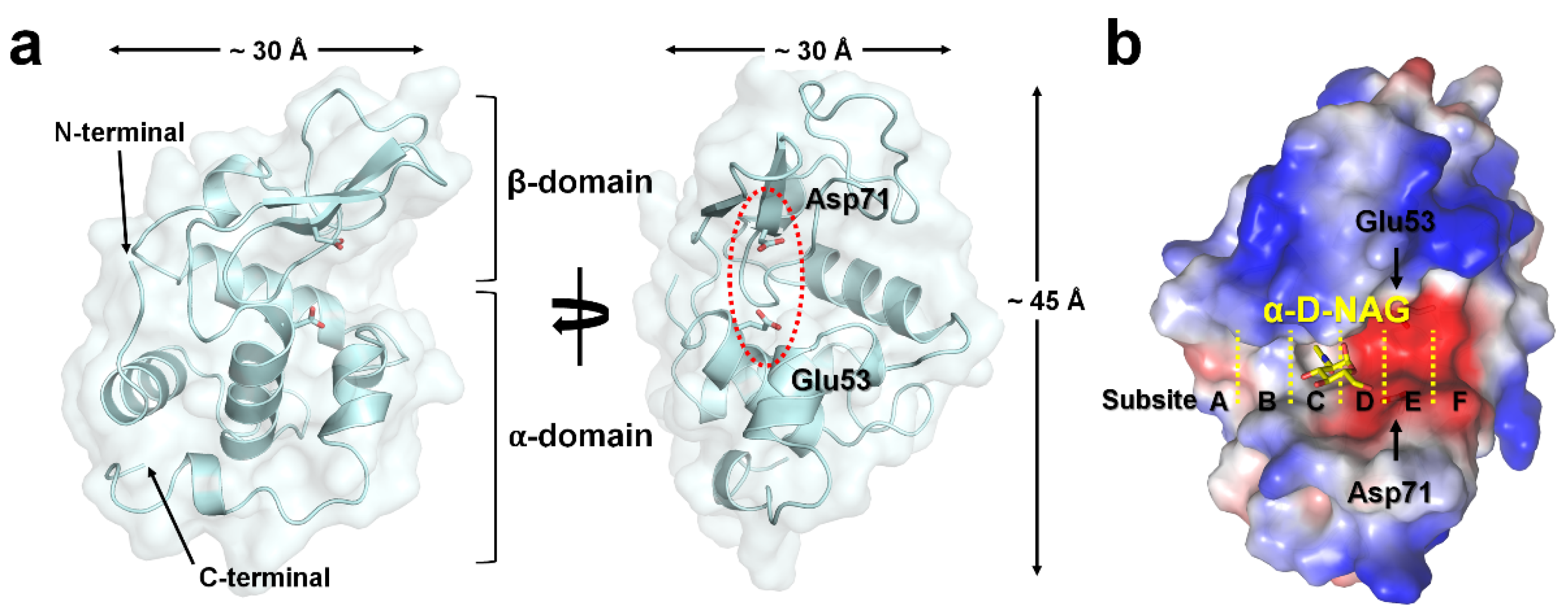 Applsci 12 04363 g001