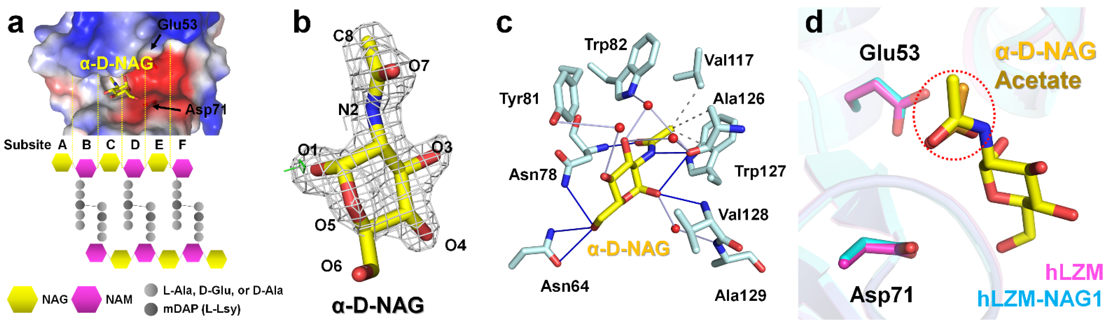 Applsci 12 04363 g002
