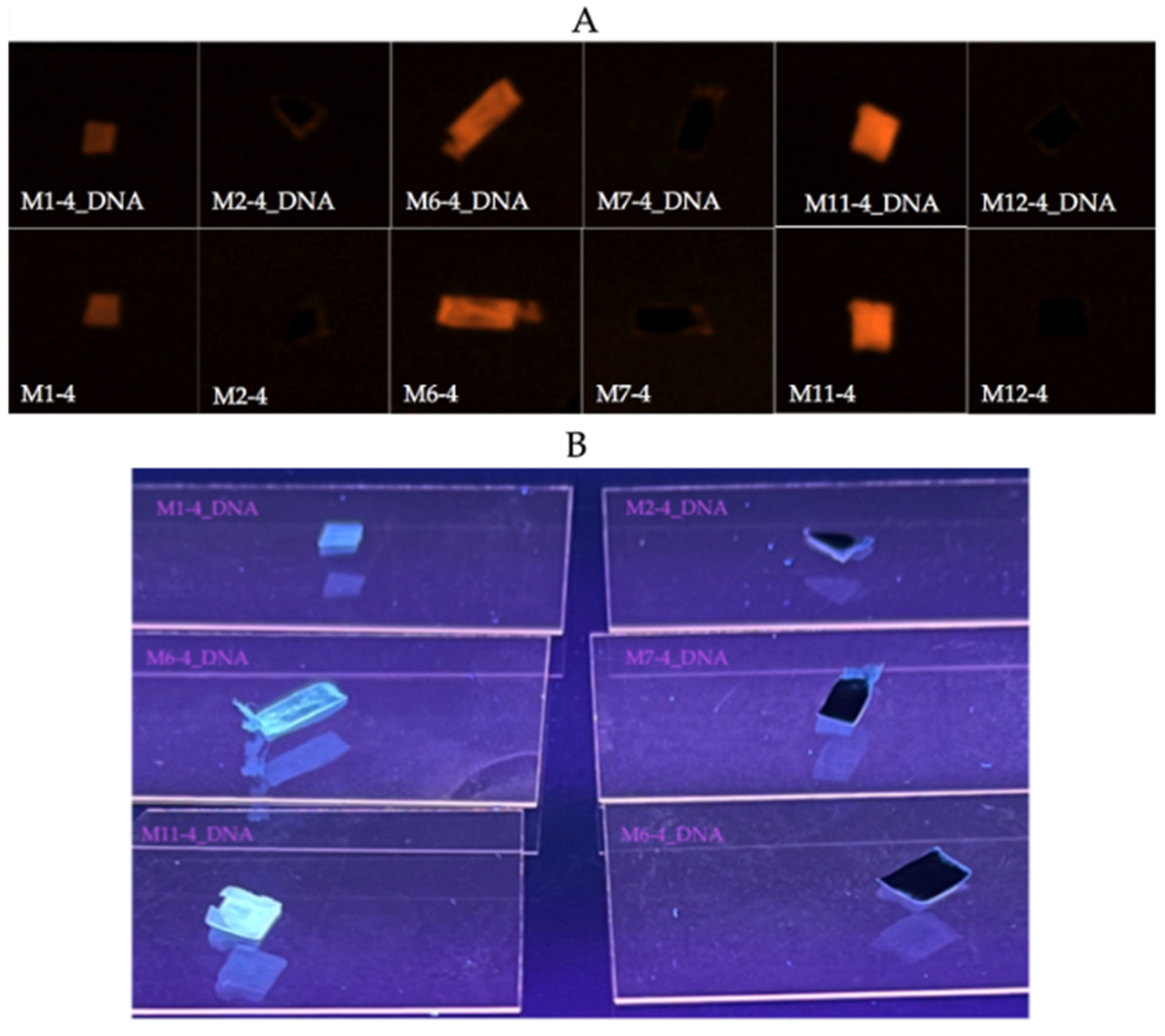 Applsci 12 04371 g008