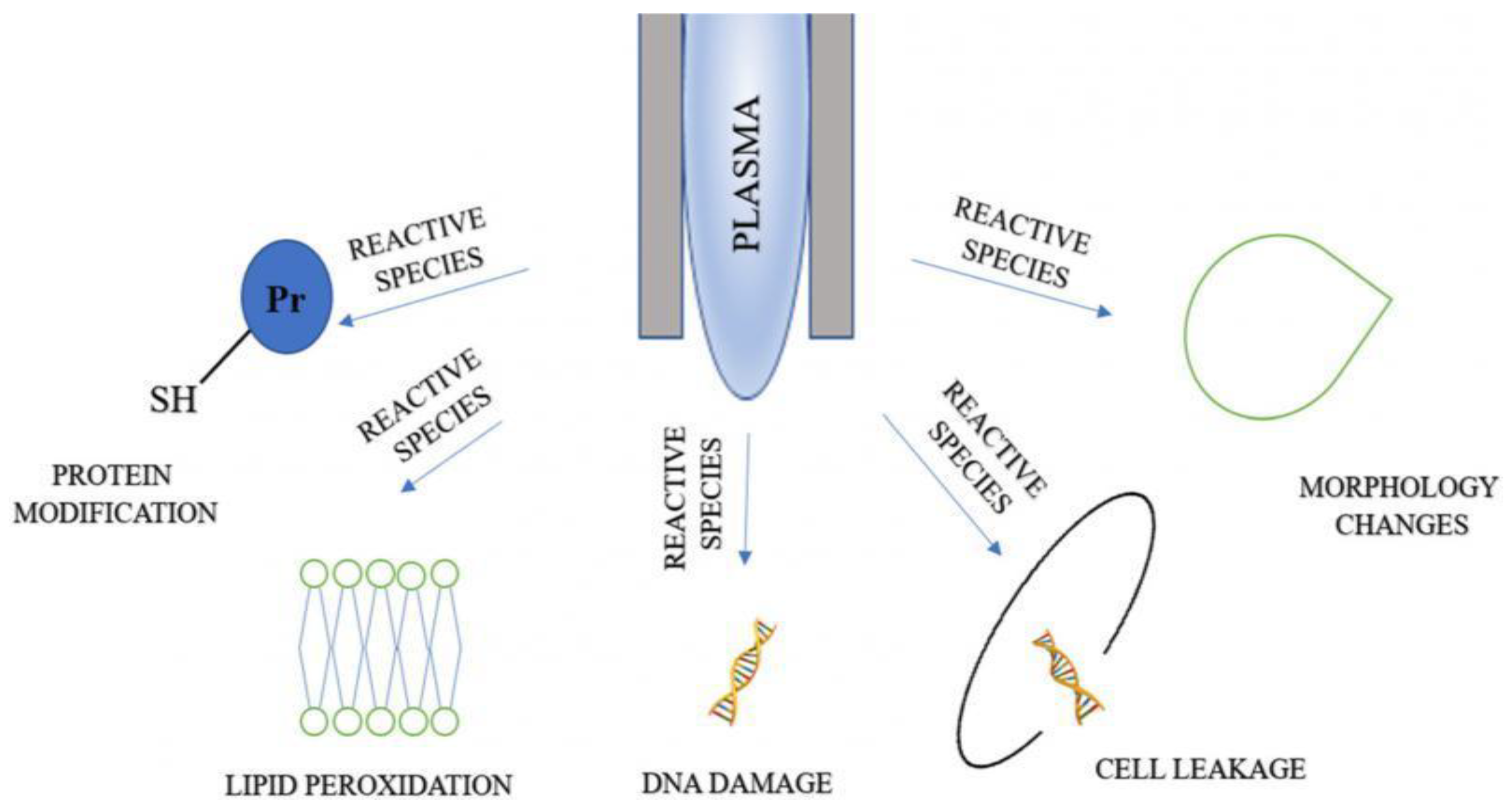 Applsci 12 04405 g005