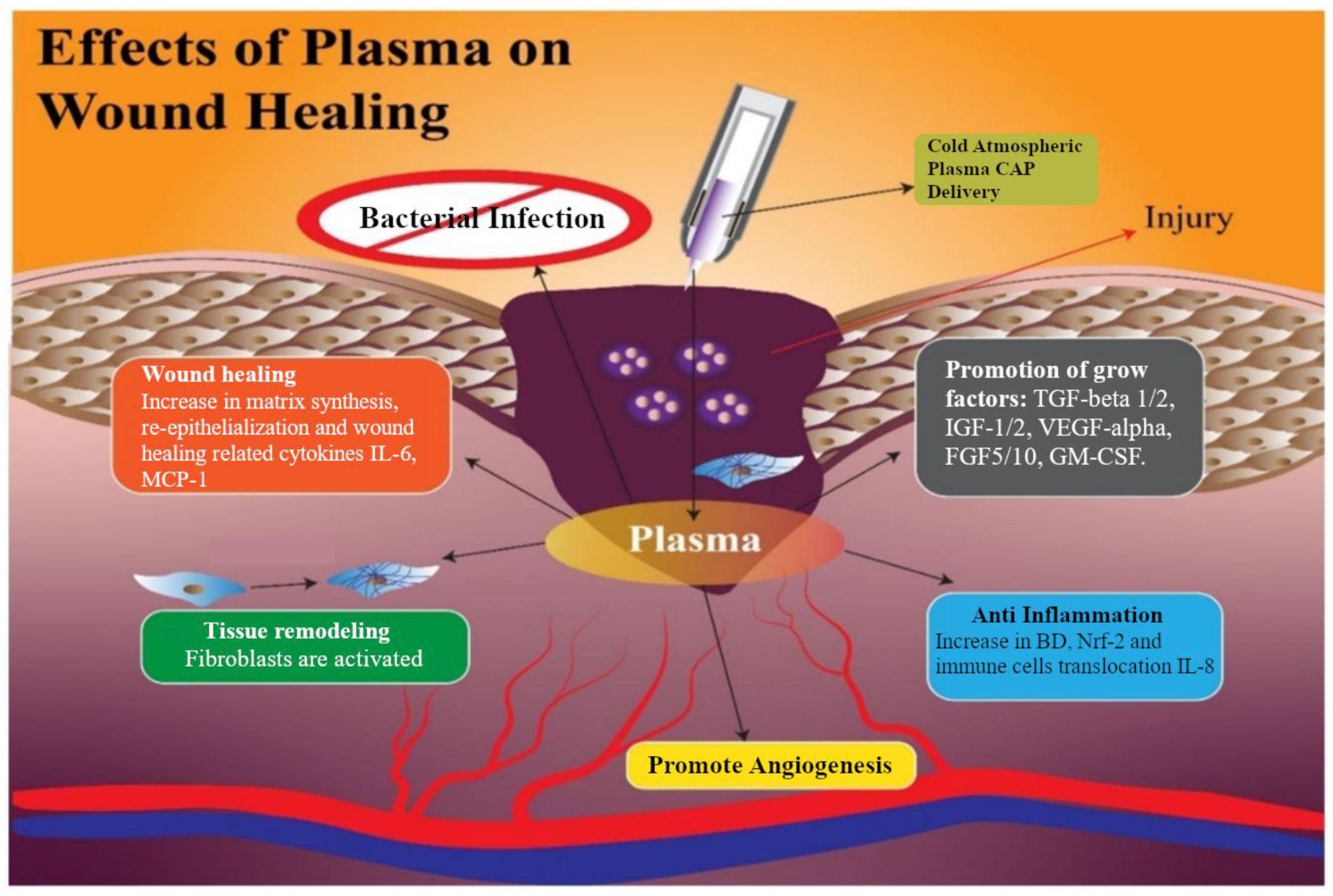 Applsci 12 04405 g006
