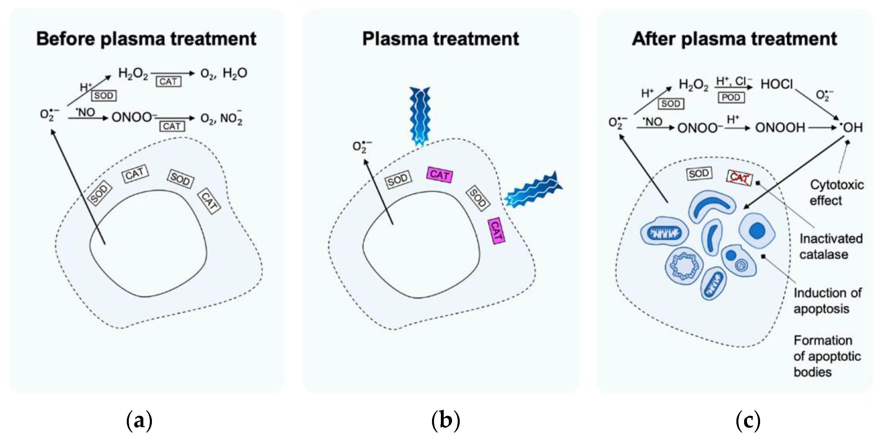 Applsci 12 04405 g008
