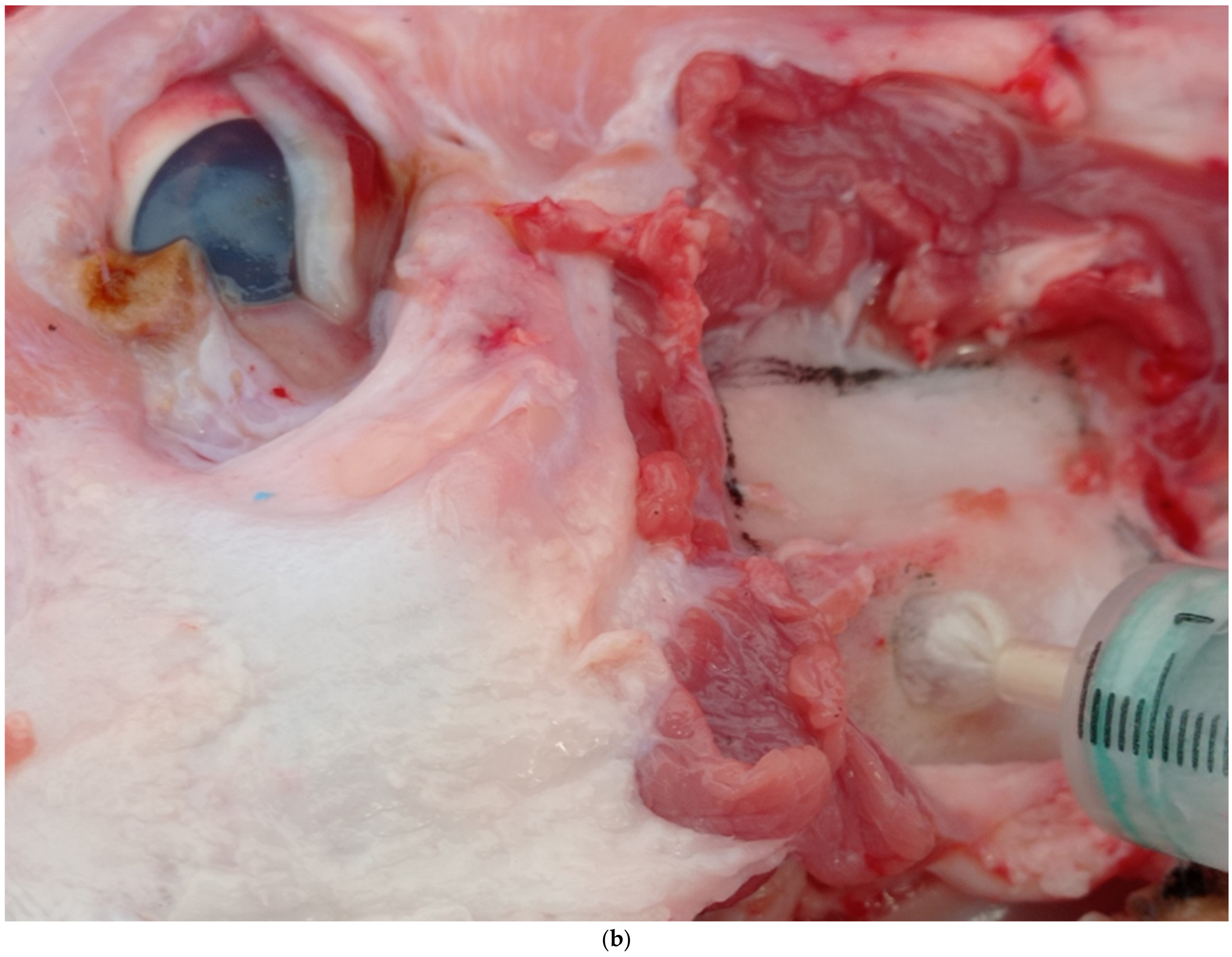 Applsci 12 04406 g001b