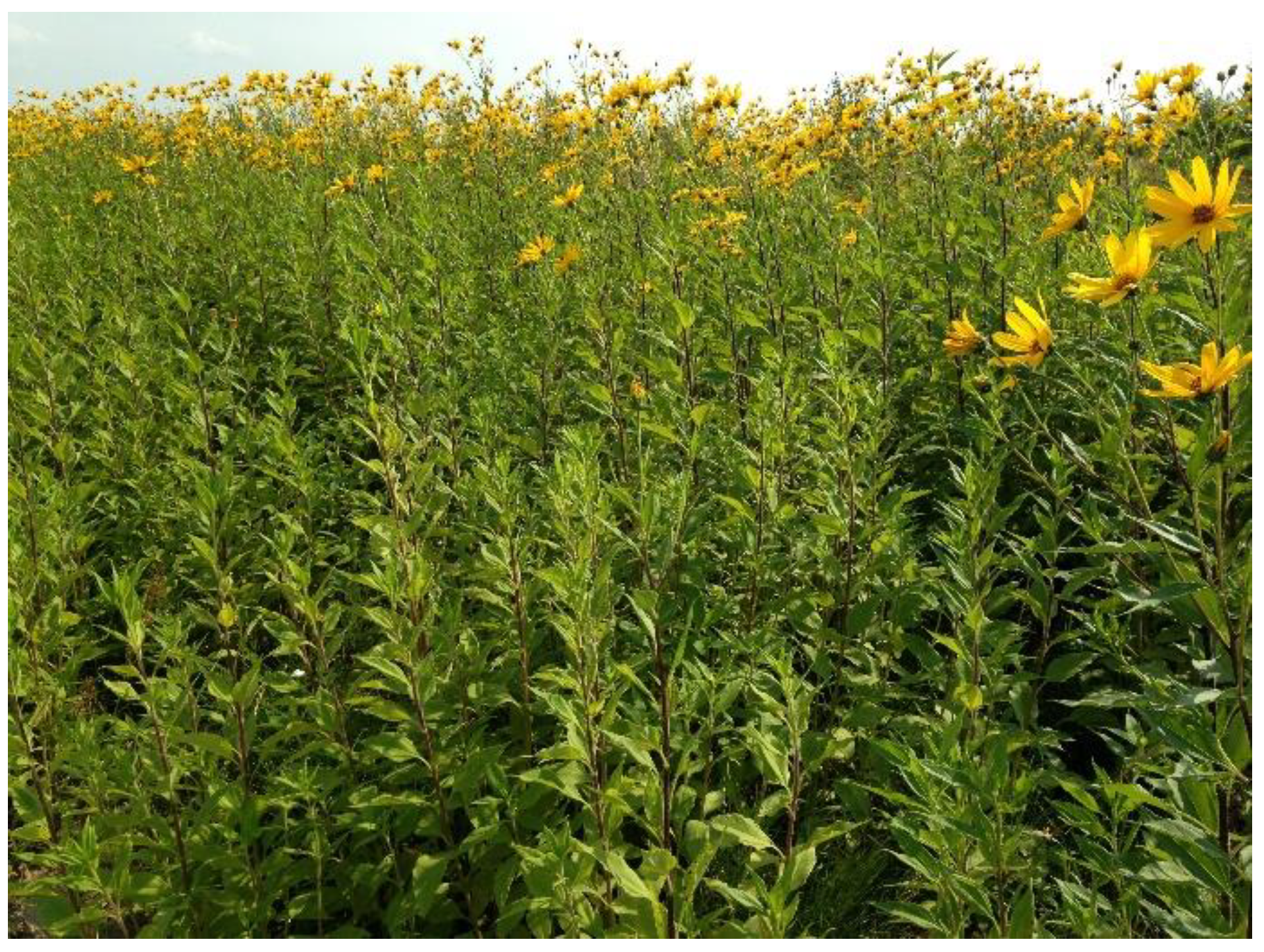 Applsci 12 04507 g001