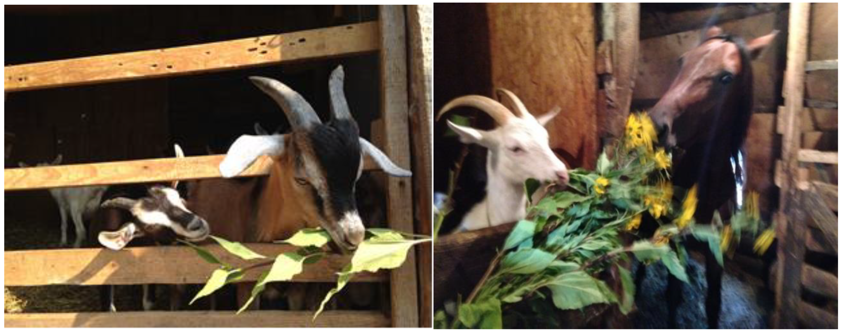 Applsci 12 04507 g002