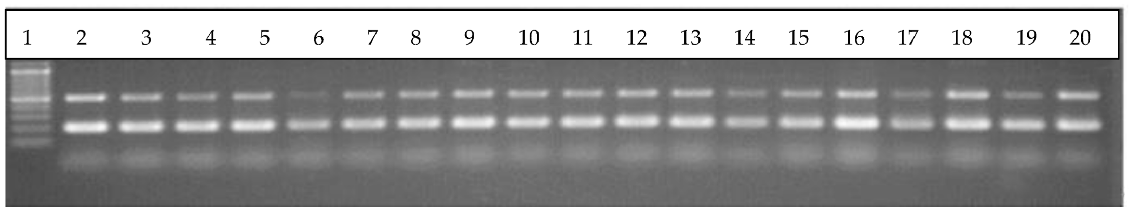 Applsci 12 04579 g001