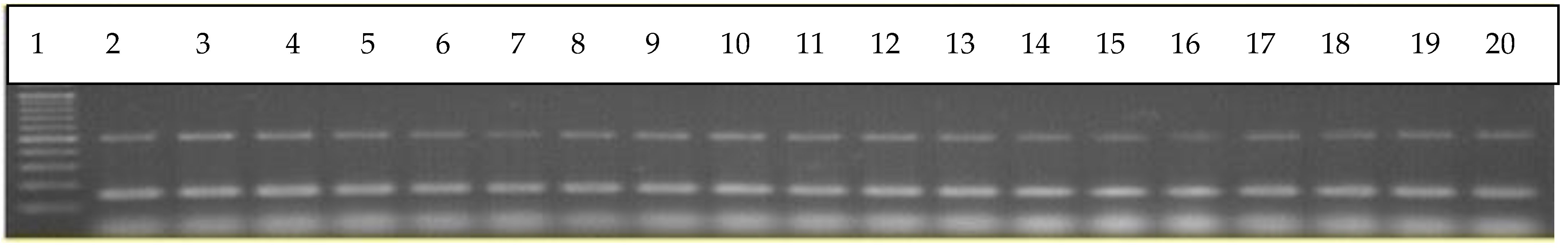 Applsci 12 04579 g002