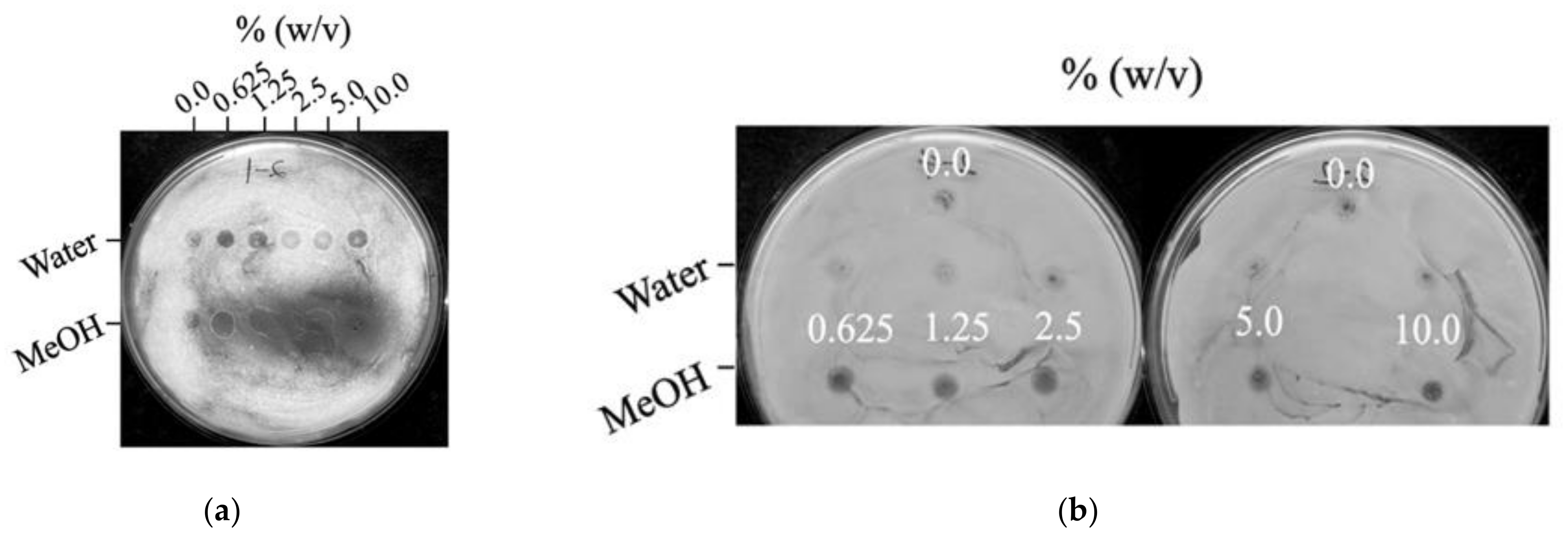 Applsci 12 04591 g001