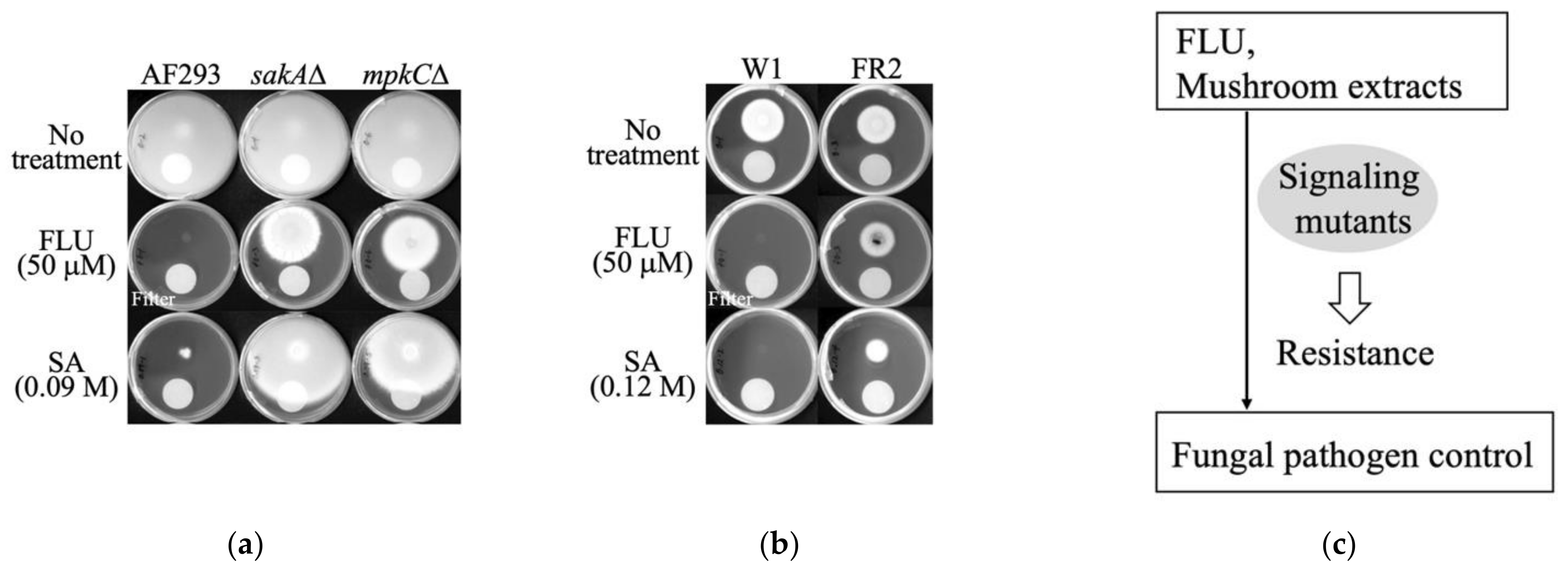 Applsci 12 04591 g002