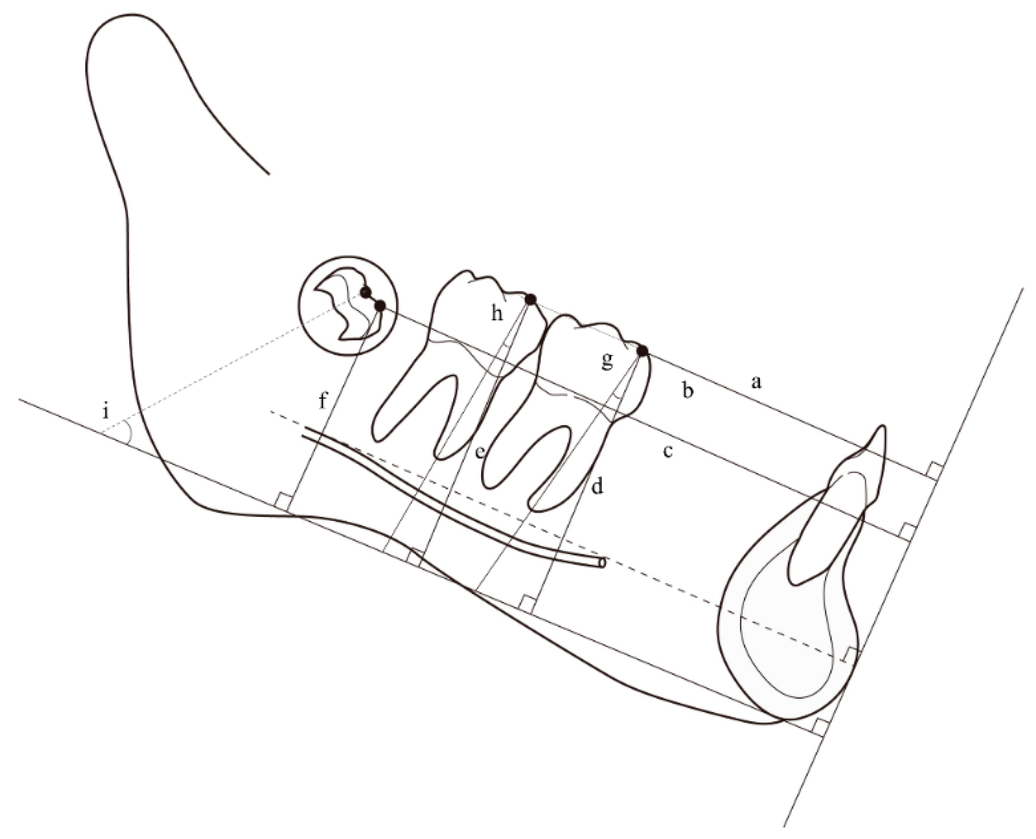 Applsci 12 04613 g004