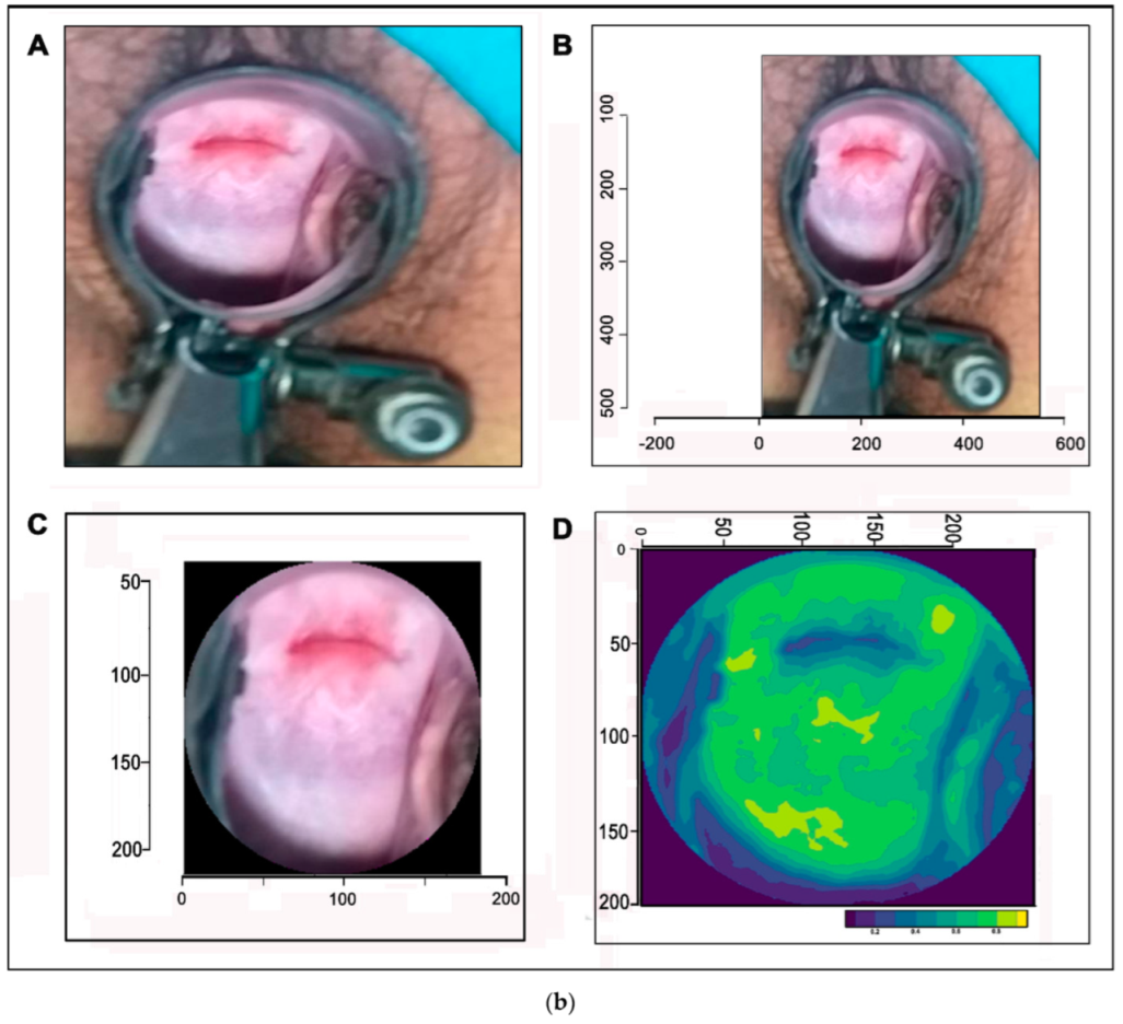 Applsci 12 04661 g002b