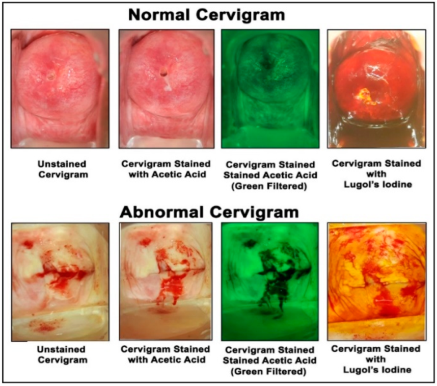 Applsci 12 04661 g005