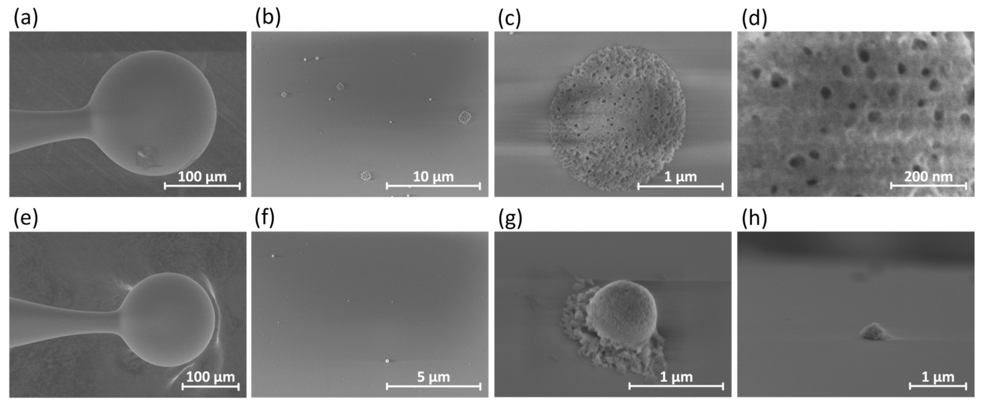 Applsci 12 04722 g001