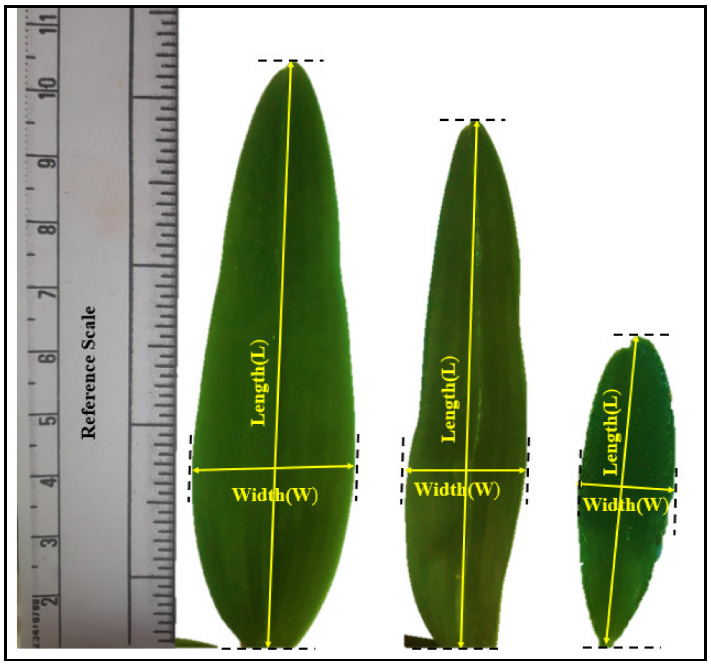 Applsci 12 04770 g002 Applsci 12 04770 g002